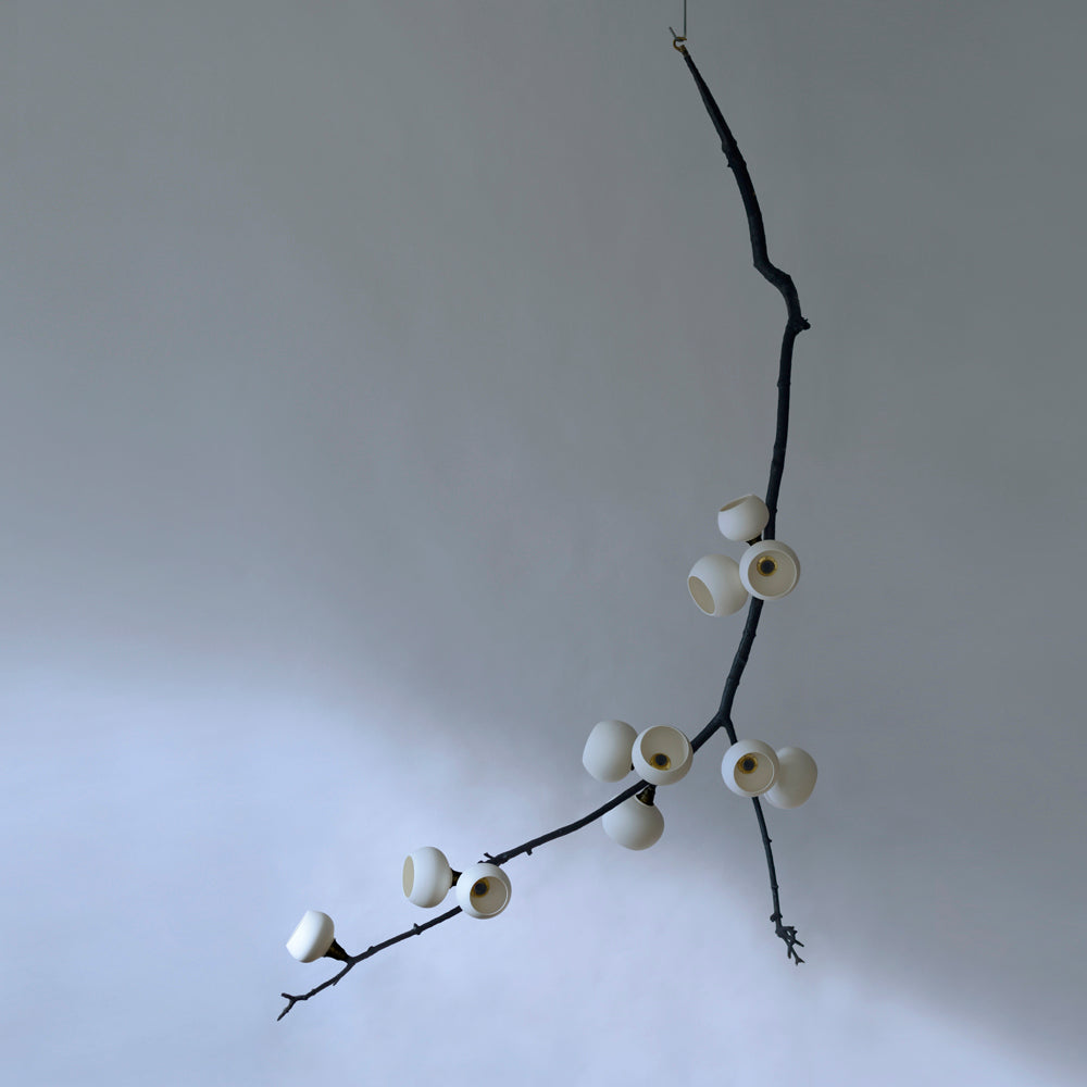 Georgina White Sorbus Cascade